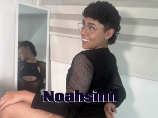 Noahsinn
