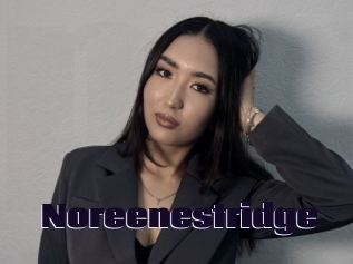 Noreenestridge