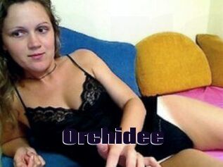 Orchidee