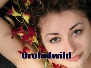 Orchidwild
