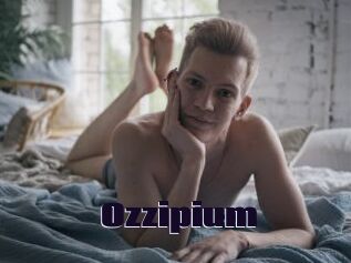 Ozzipium
