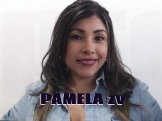 PAMELA_zv