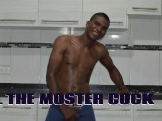 POOL_THE_MOSTER_COCK