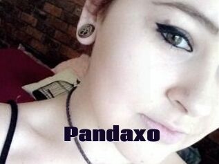 Pandaxo