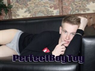 PerfectBoyToy