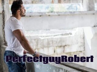 PerfectguyRobert