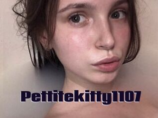 Pettitekitty1107