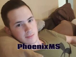 PhoenixMS