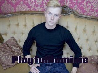 PlayfulDominic