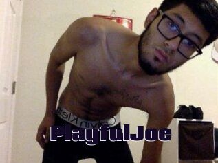 PlayfulJoe