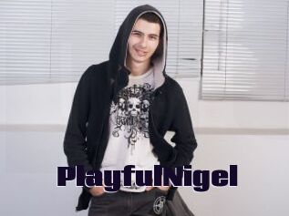PlayfulNigel