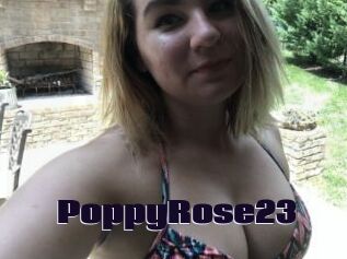 PoppyRose23