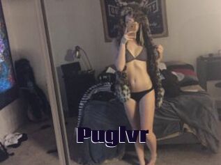 Puglvr