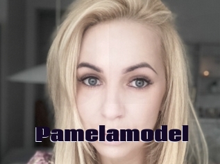 Pamelamodel