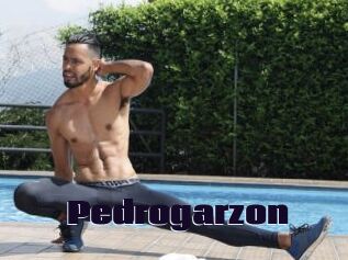 Pedrogarzon