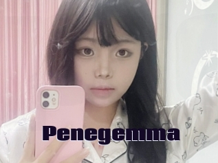 Penegemma