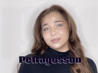 Petragosson