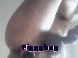 Piggyboy