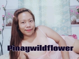 Pinaywildflower