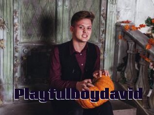 Playfulboydavid
