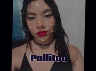 Pollitoo