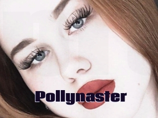 Pollynaster