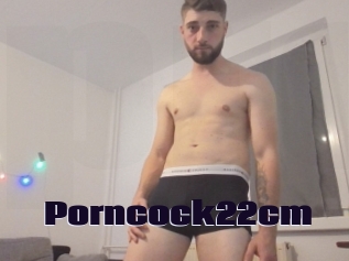 Porncock22cm