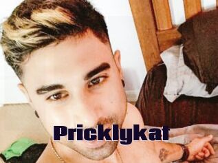 Pricklykat