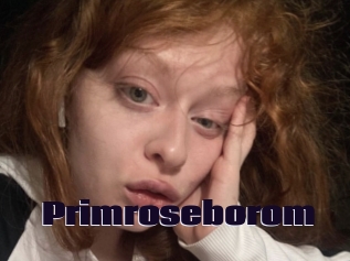 Primroseborom
