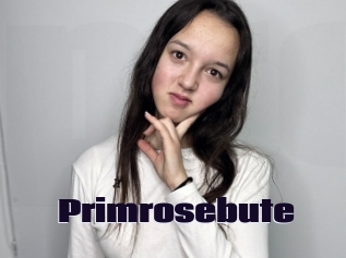 Primrosebute