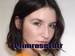 Primrosefurr