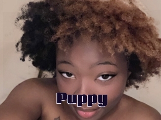 Puppy