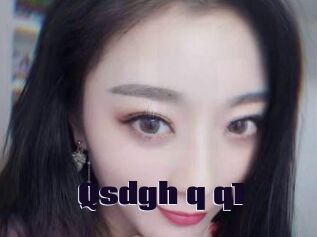 Qsdgh_q_q1