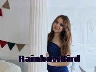 RainbowBird