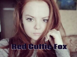 Red_Cuttie_Fox