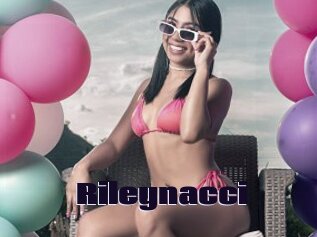 Rileynacci