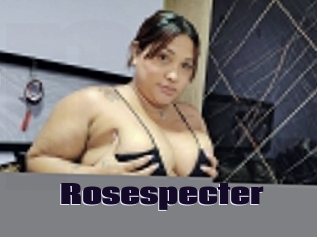 rosespecter Prolap Sex