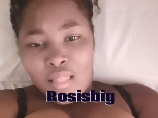 Rosisbig