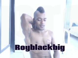 royblackbig Prolap Sex