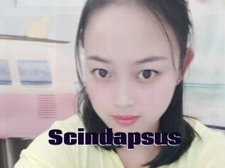 Scindapsus
