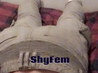 ShyFem