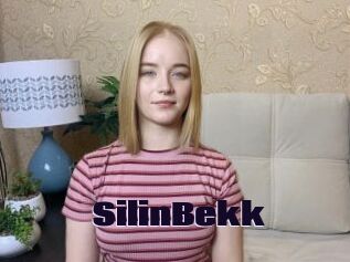 SilinBekk