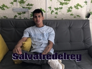 Salvatredelrey