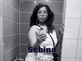 Sebina