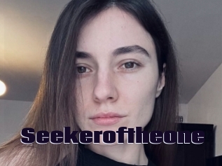 Seekeroftheone