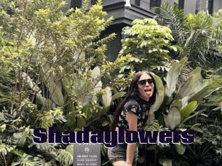 Shadaylowers