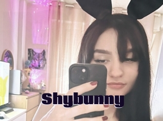 Shybunny
