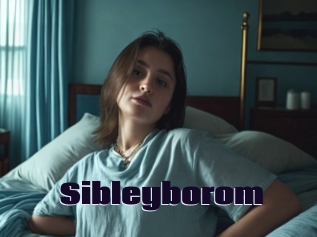 Sibleyborom