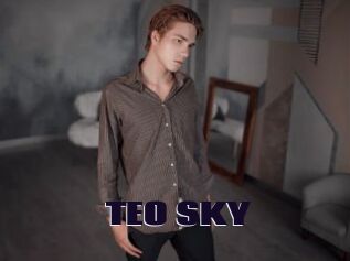 TEO_SKY