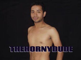 THEHORNYDUDE